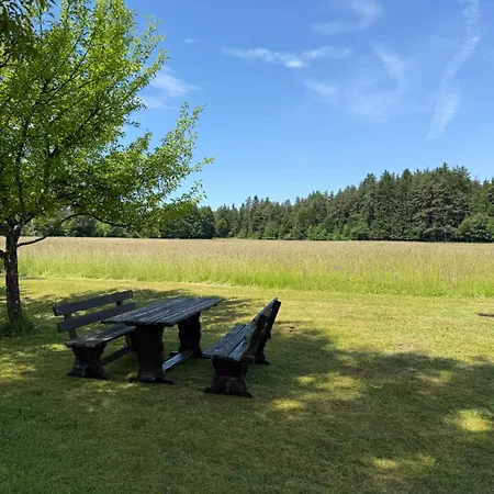 Gemuetliche In Petzennaehe Appartement *